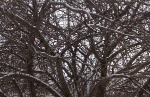 c7ed24d8-1b1b-4364-9f31-7d483de36f04-1211-000001348bf41cf6_file